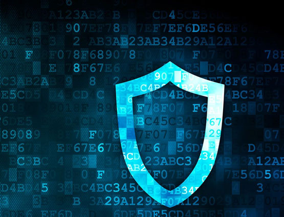 Salient Cyber Sol Capabilities